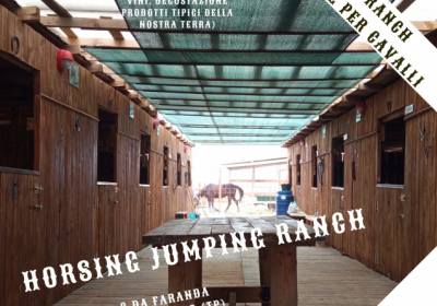 Agenzia/operatore Turistico Horsing Jumping Ranch